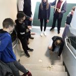 Students drop an egg from the stairs during a project.