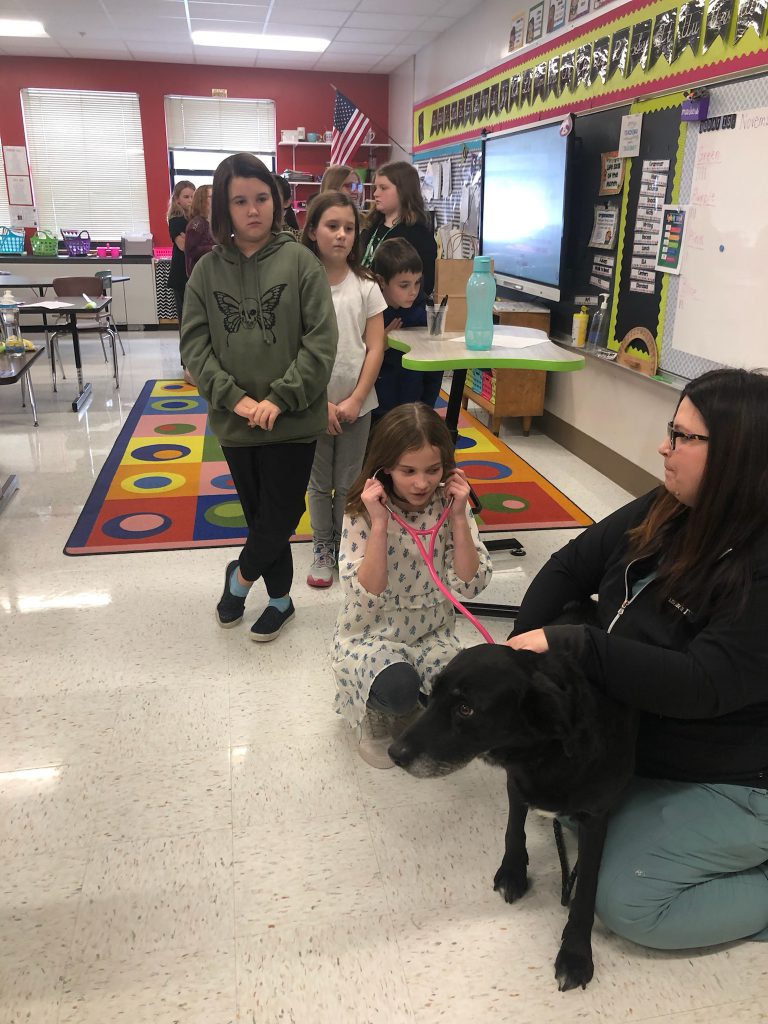 Herkimer Elementary students visit with veterinarian and a dog