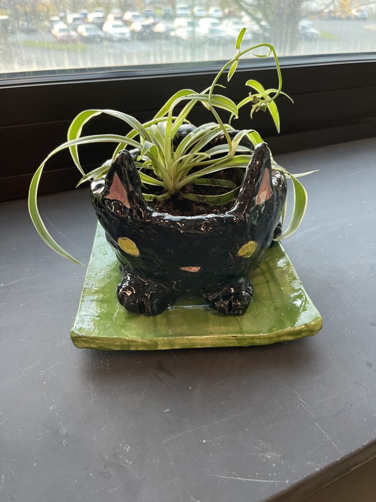 Cat planter with plant in it