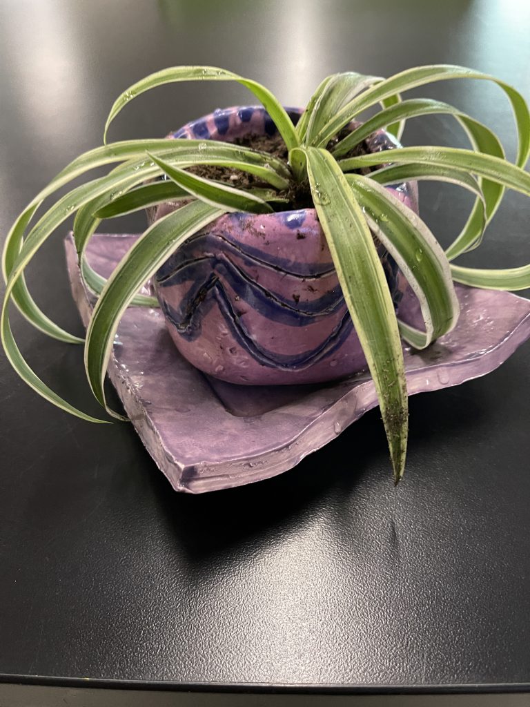 Purple design planter with plant in it