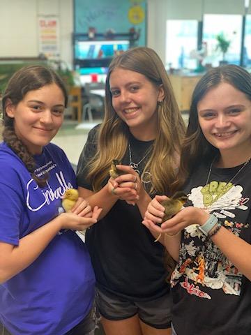 Three students holding ducklings