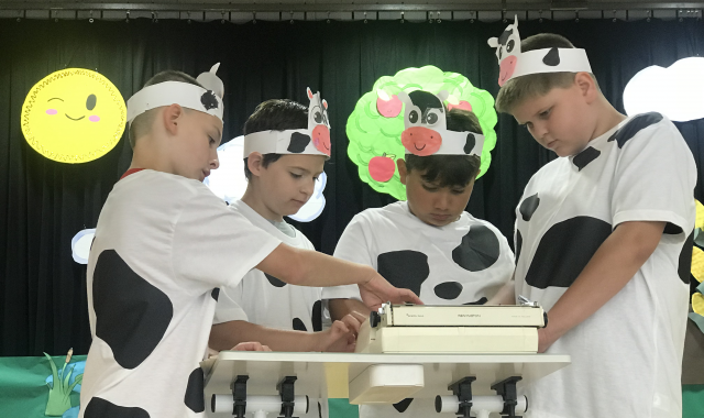 Students in cow outfits for drama production
