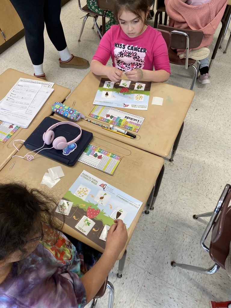 Two second graders doing a strawberry activity