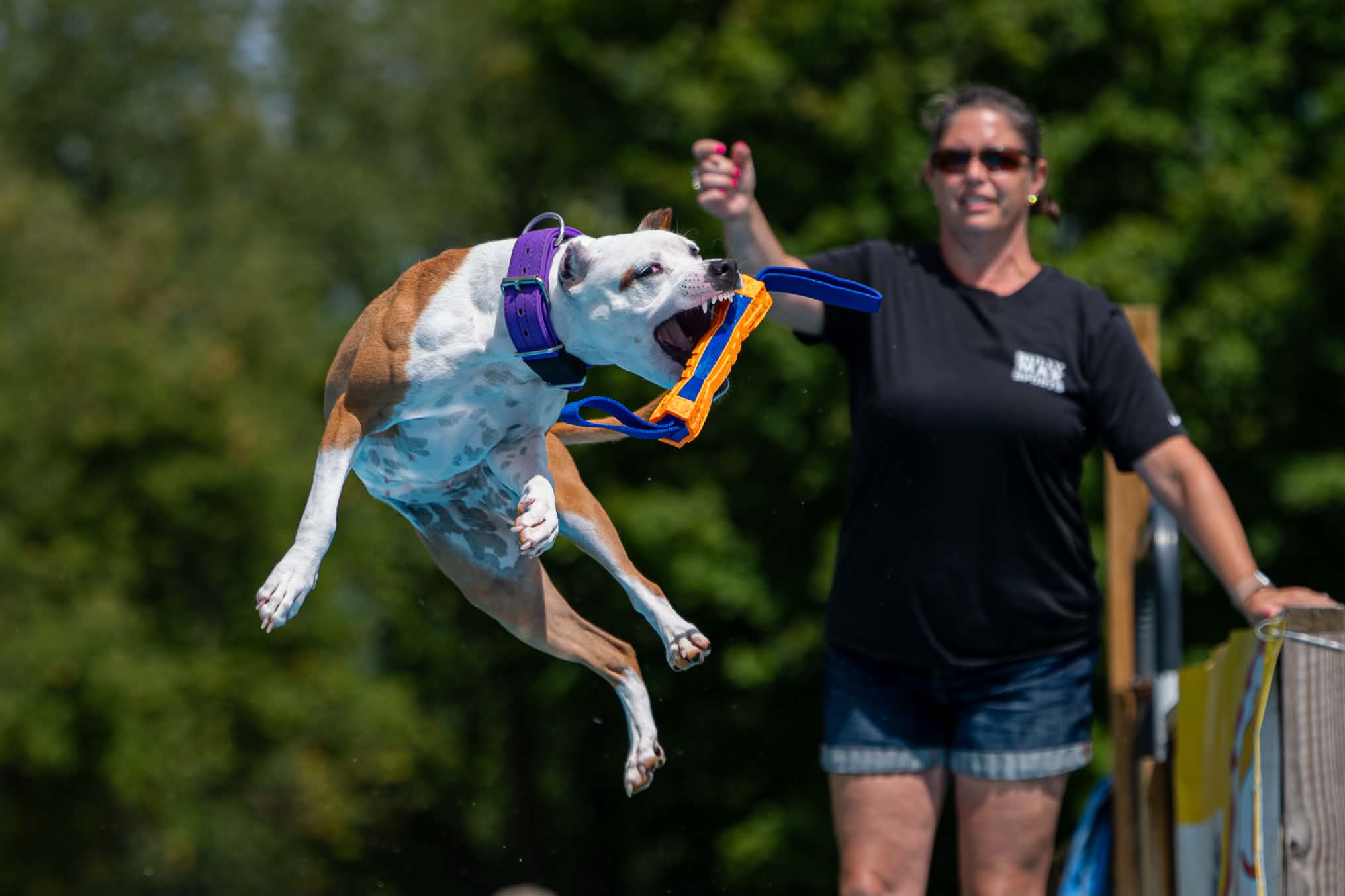 Hollie Wolanski in the background throwing an item that her dog is jumping and catching in the foreground